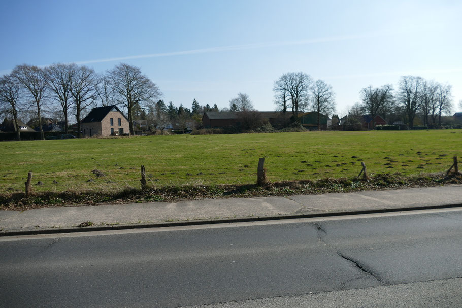 Auf dieser Wiese an der Marktstraße (im Vordergrund) soll das neue Wohngebiet entstehen, im Hintergrund die Scheune, die in Zukunft als Eventcenter dienen soll