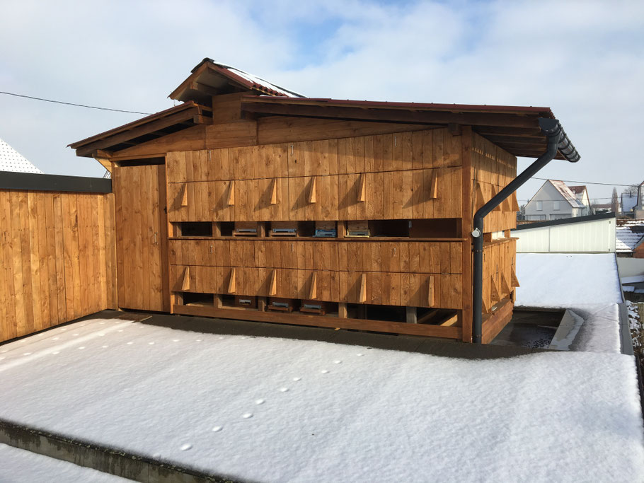 Rucher d'hivernage couvert, sous quelques centimètres de neige.