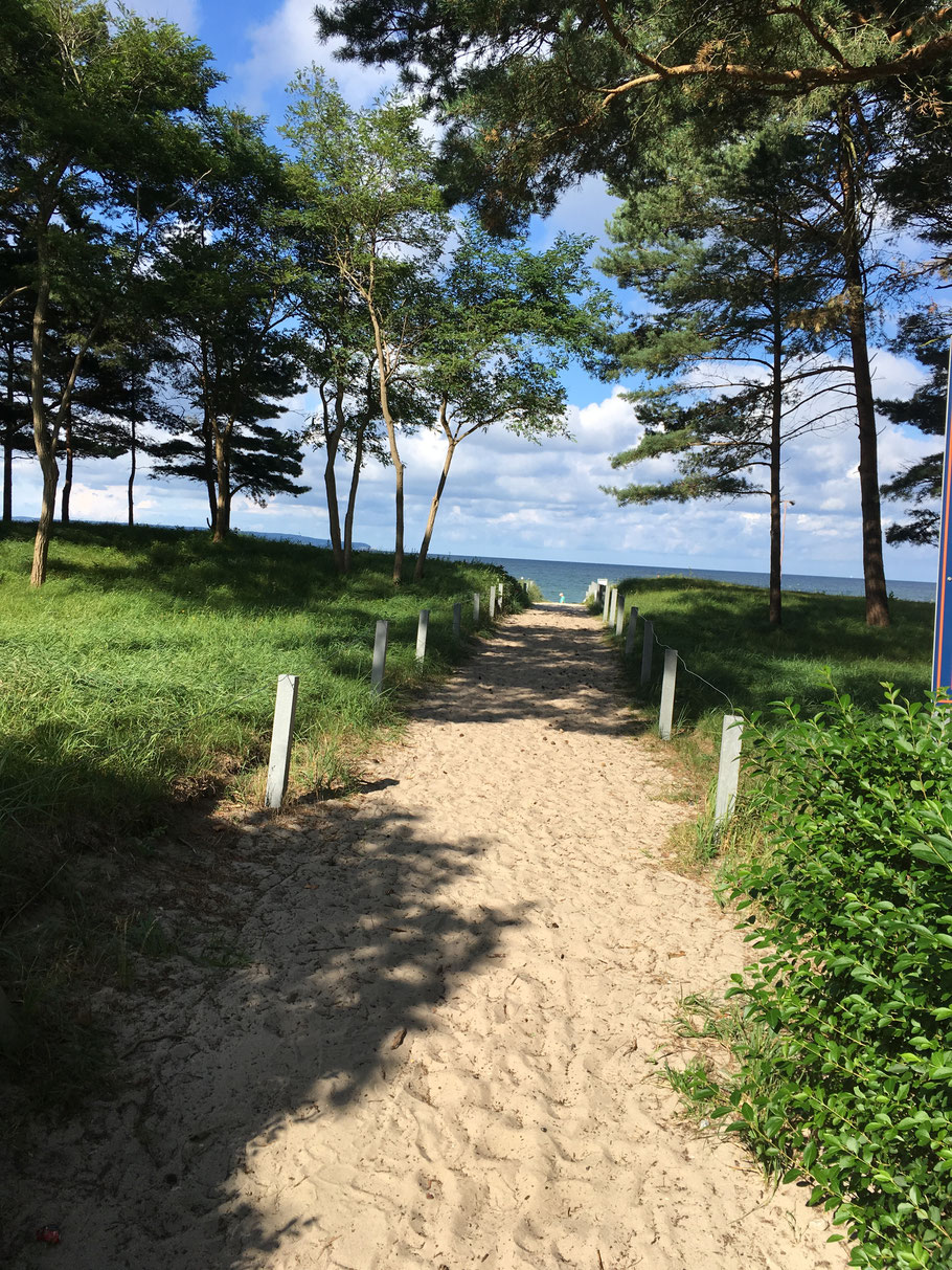 Ein weicher Weg