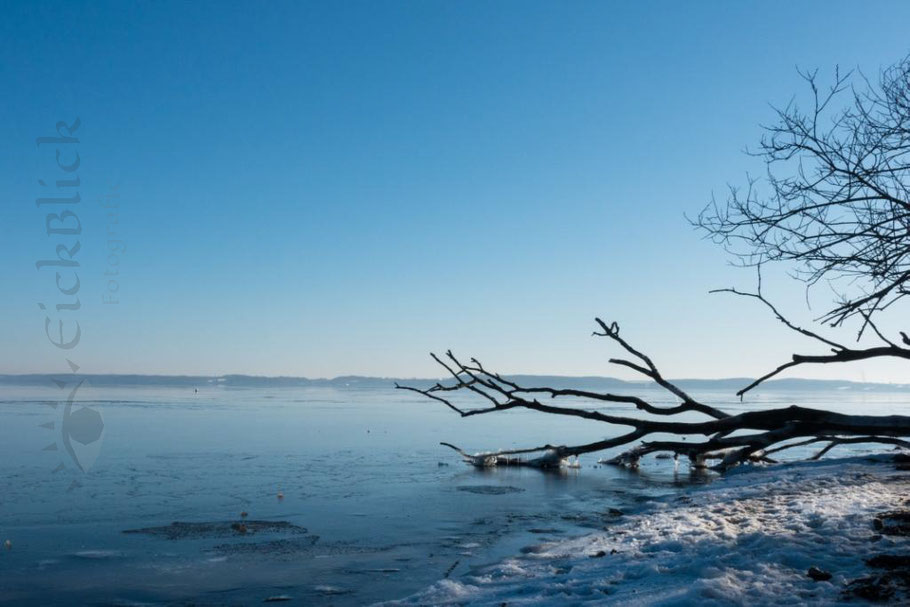 Naturstrand an der Ostsee mit Eis und Schnee und umgestürztem Baum, Dänenmark sieht man gegenüber liegen bei Sonnenschein 