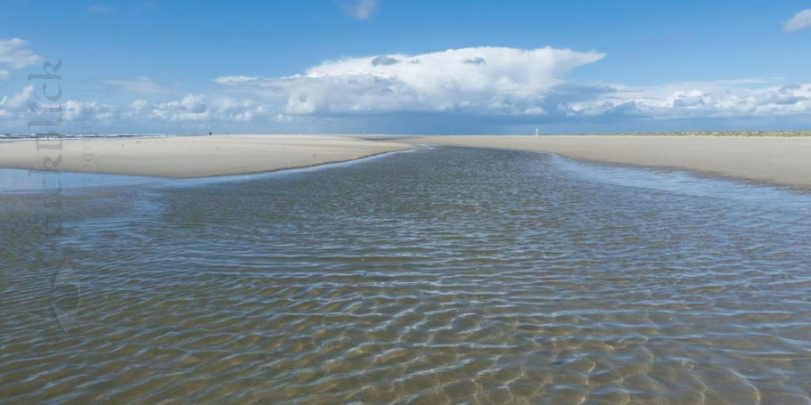 breiter flacher Strand mit Prielen und Dünen im Hintergrund im Nationalpark Wattenmeer