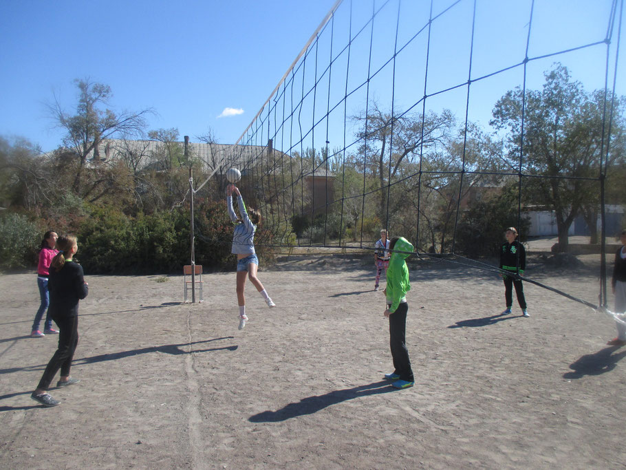 Волейбол на свежем воздухе в программе "Дня Здоровья"