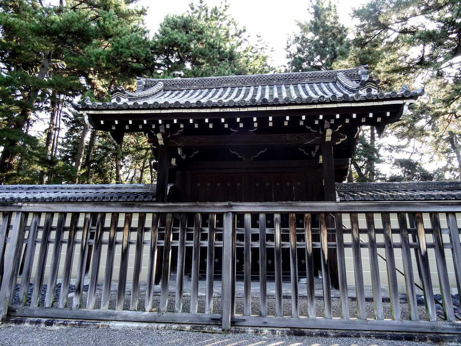 安藤政信さんの性格・運気・運勢は?
