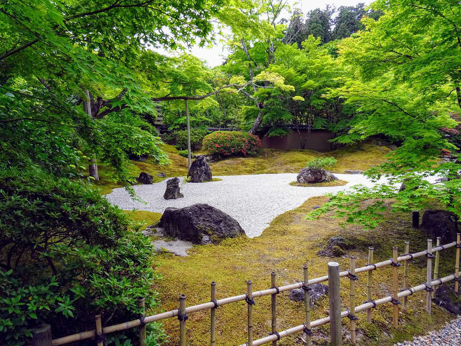オダギリジョーさんの性格 運気 運勢とは 占いと開運の総合窓口霊符ワークス オダギリジョーさんの性格 運気 運勢とは 占いと開運の総合窓口霊符ワークス