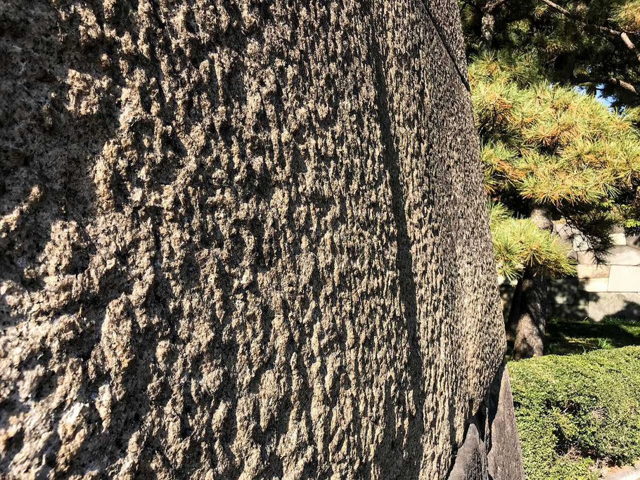 八村倫太郎さんの性格・運気・運勢とは?