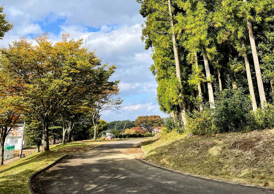 井ノ原快彦さんの性格・運気・運勢を占ってみると