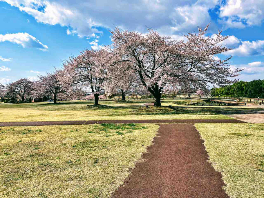 富田望生さんの性格・運気・運勢とは?