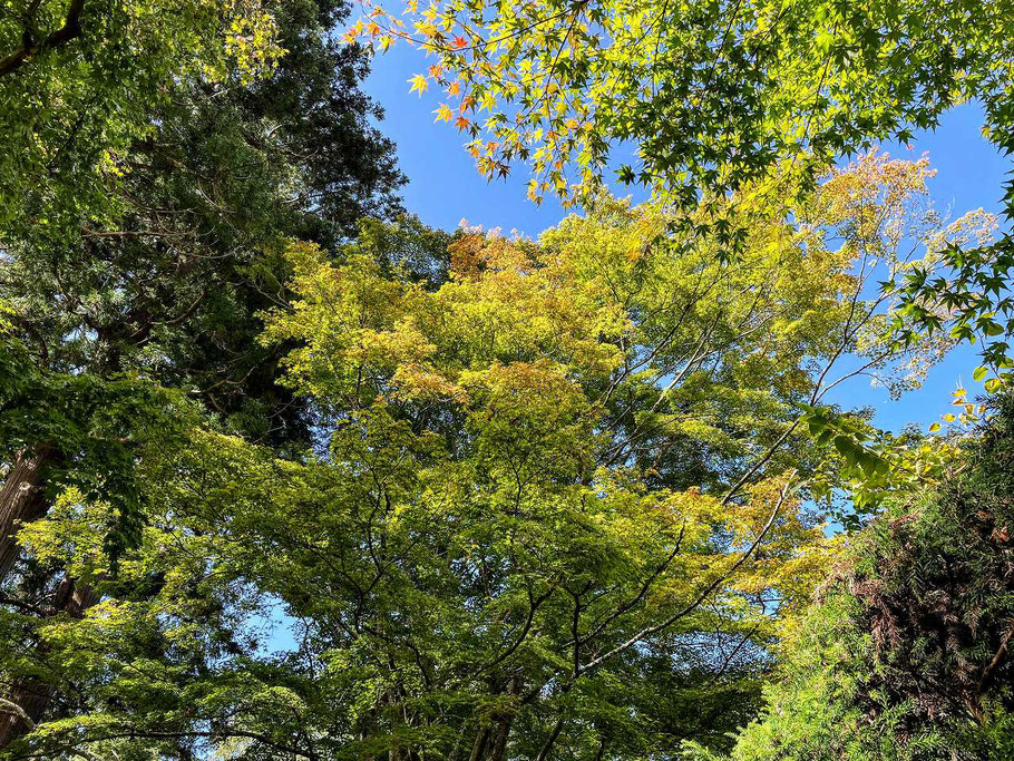 北村有起哉さんの性格・運気・運勢は?