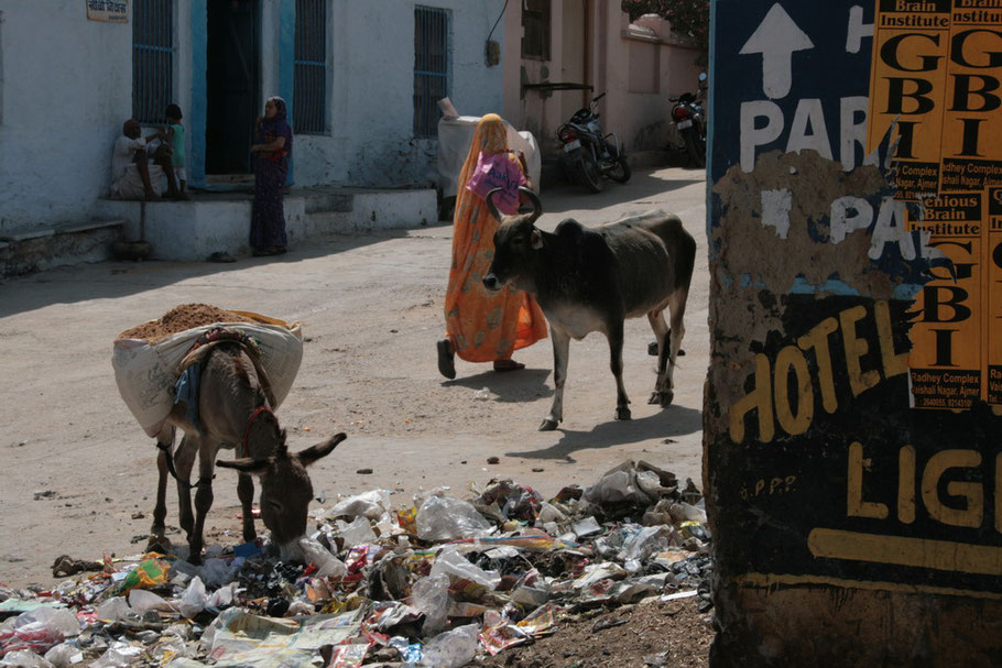 Indien, Pushker, 2012