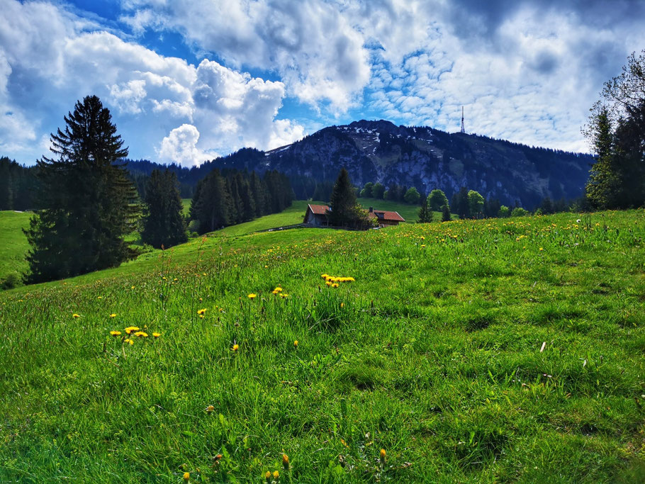 Aufstieg zur Alpe Kammeregg