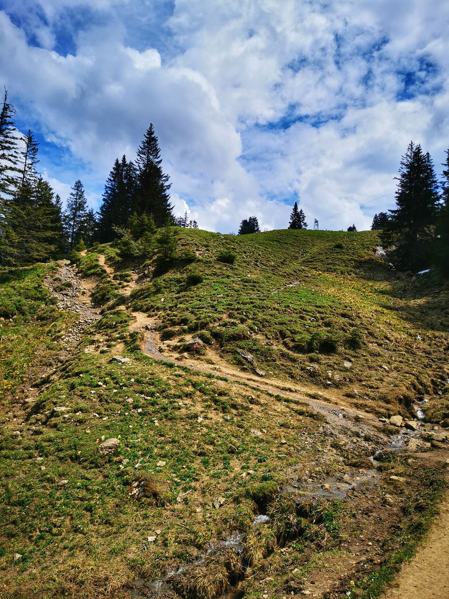 Abzweig zur Grüntenhütte und Gipfel