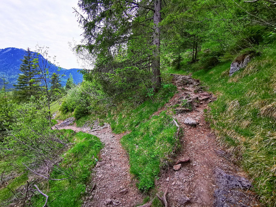 In teilweise steilen Kehren geht's es zügig bergauf