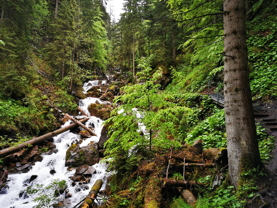 Im Tobelweg