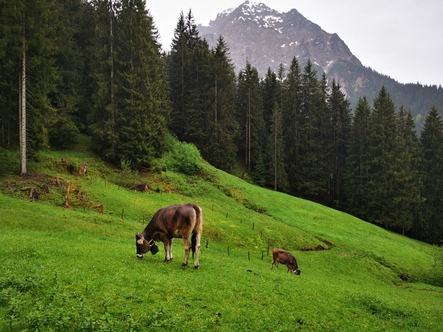 Bergidylle, im Hintergrund das Rubihorn