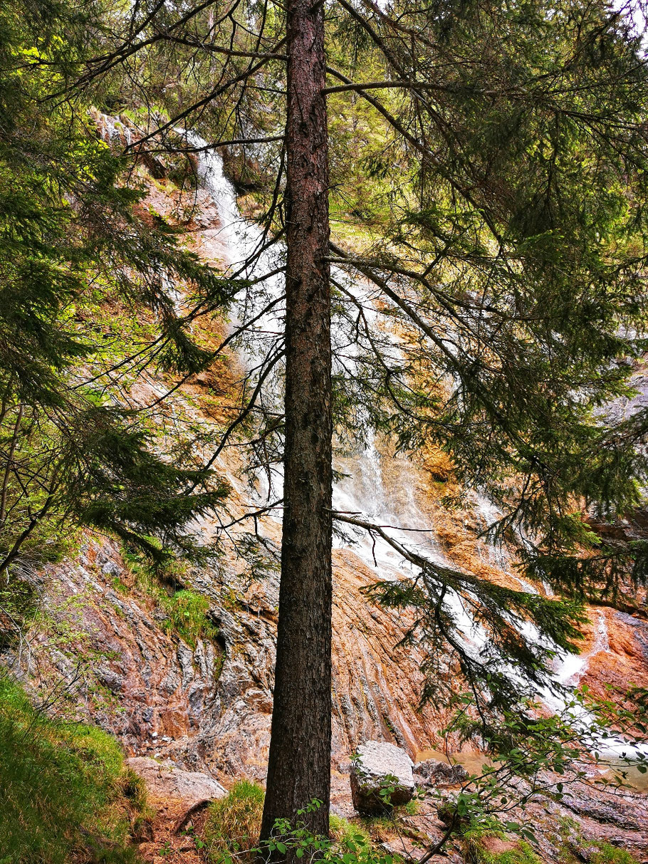 Ein Wasserfall kommt in Sicht