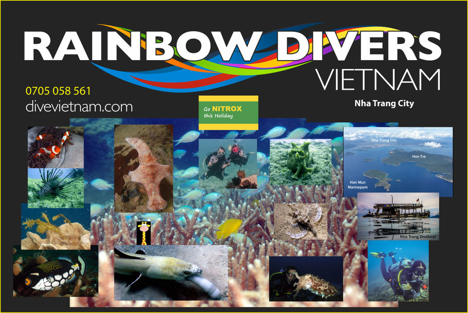 Rainbow Divers PADI Scuba Dive Center Marine Life and Scuba Diving Images Collage