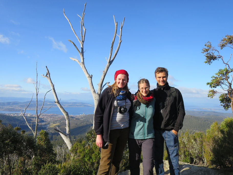 Tasmanien mit Birte - Blick von Mount Wellington auf Hobart