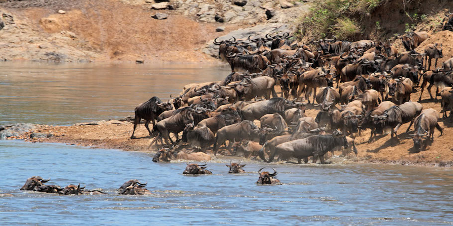 Masai-Mara-National-Park.jpg