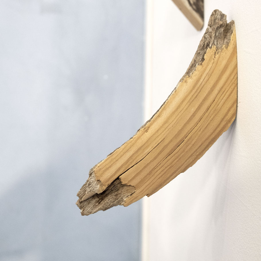 [ Industrial sobre Orgánico ] Óleo sobre madera virgen. Detalle.