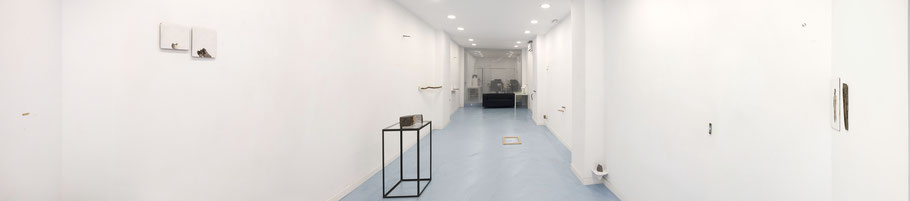 [ WO/D ]  Fotografía de exposición. (2024)