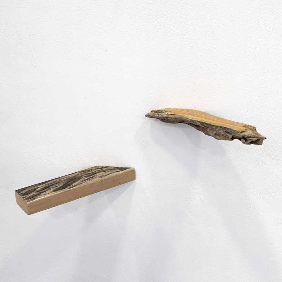 [ Organicidad Alóctona ]  Instalación formada por dos fragmentos de madera, uno virgen y otro tratado, en los que se ha representado al óleo su opuesto. (2024)