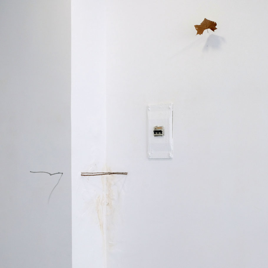 [ Crecimiento seco ]  Intervenciones sobre pared en las que se aprovechan las irregularidades del espacio ya presentes y que habitualmente resultarían intrusivas. (2023)