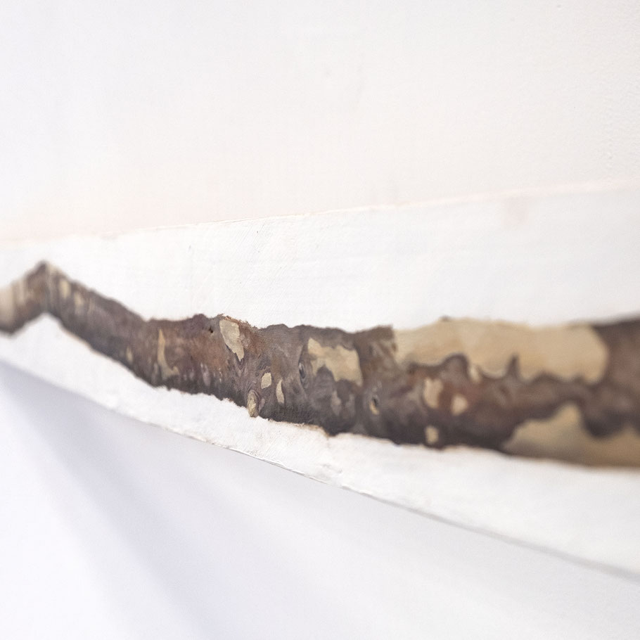 [ Doble simulacro ]  Óleo sobre madera. Detalle.