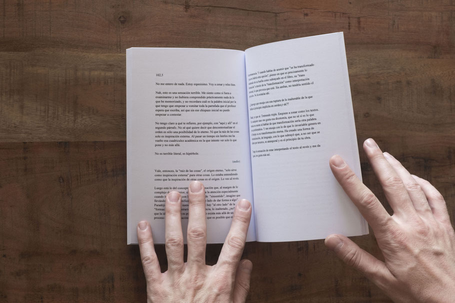[ Rivisión humana ] Libro compuesto por una serie de textos escritos por un lector anónimo a partir de los textos que componen el libro anterior (Y tus las palabras de otro).