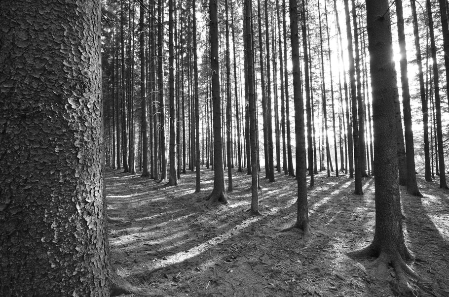 St.Georgen 