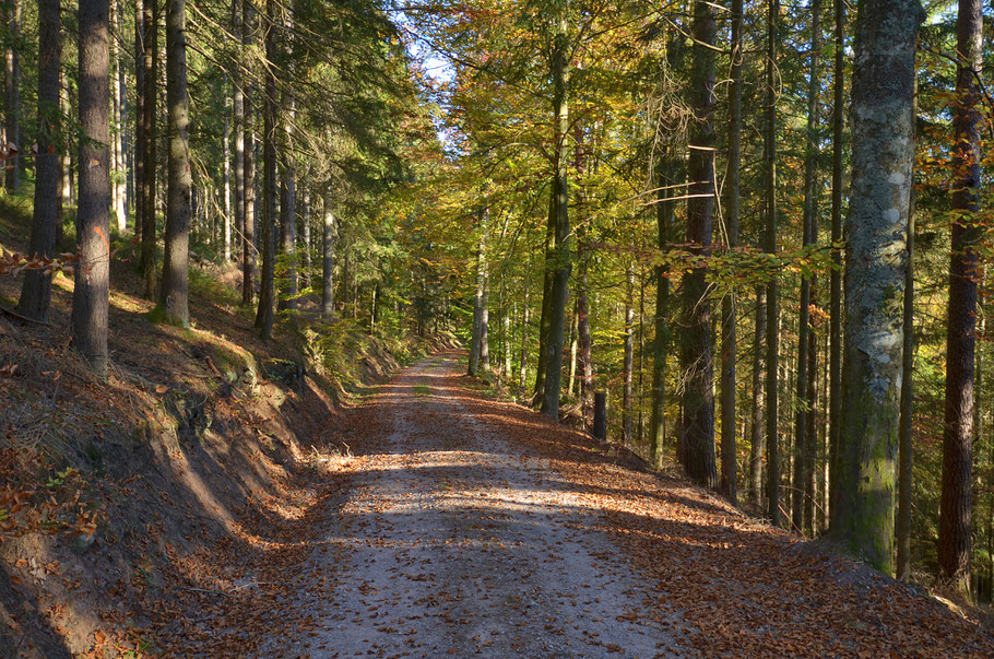 Königsfeld-Buchenberg