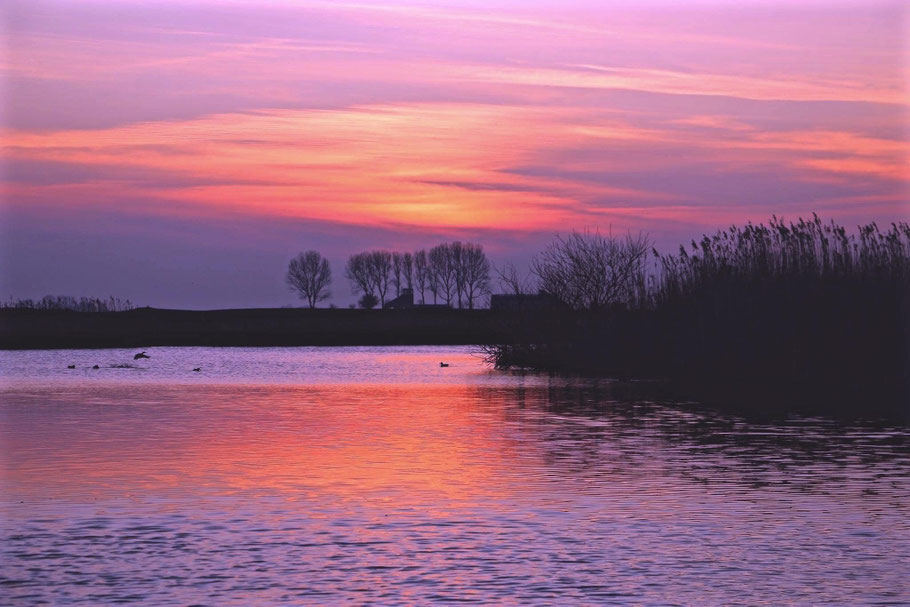 Schaphalsterzijl