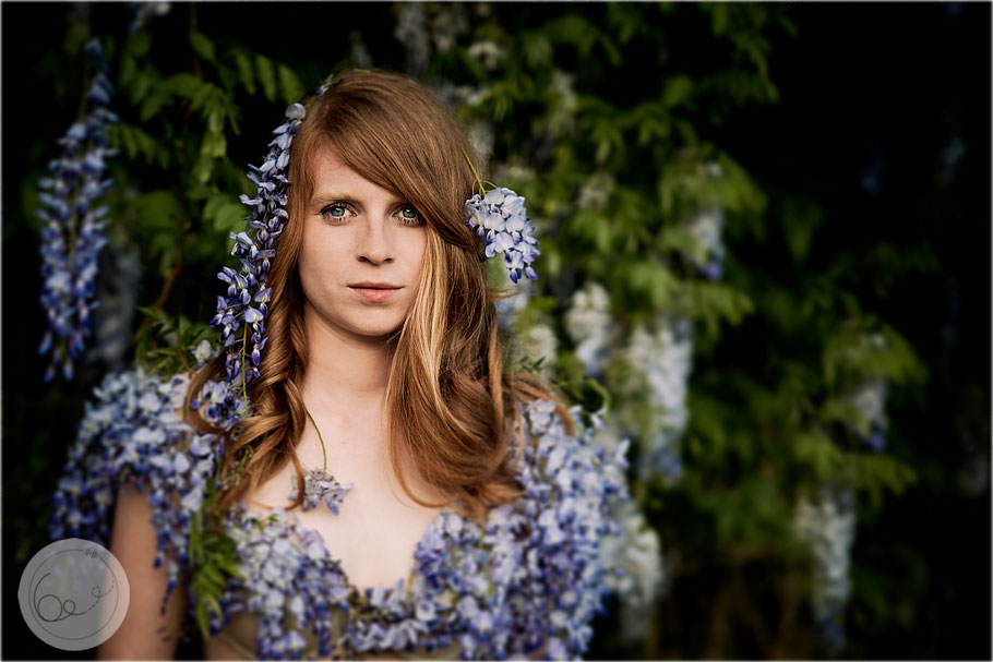 Portrait-lifestyle-Wisteria-Blauregen-Blüten