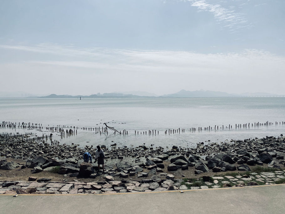 Mangrove Nature Reserve mit Blick auf Hong Kong