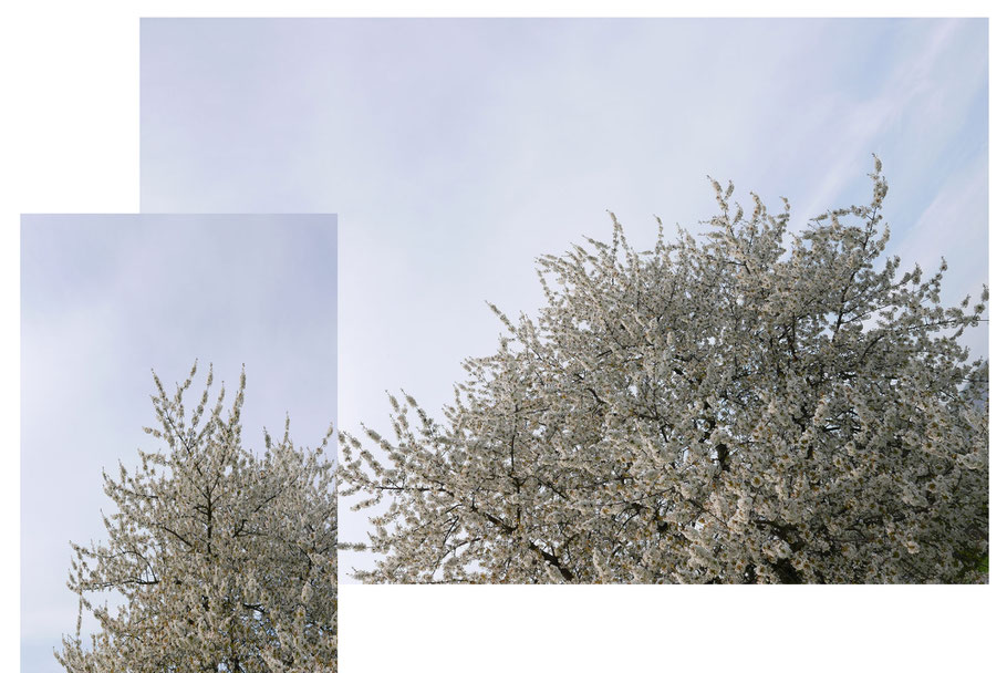 Blauer Himmel & Wein = Frühlingsgefühle