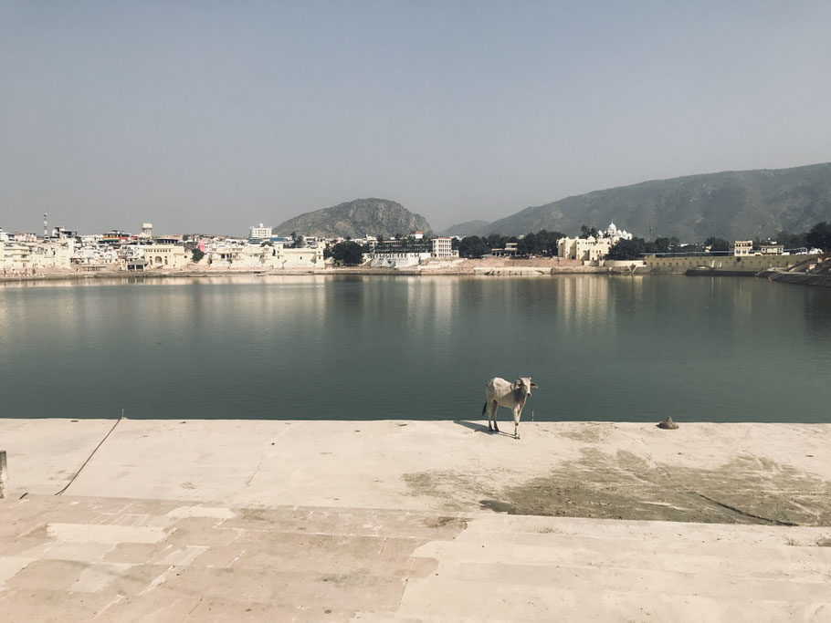 Pushkar Lake