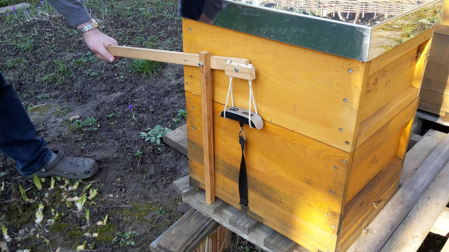 Low-cost Stockwaage.