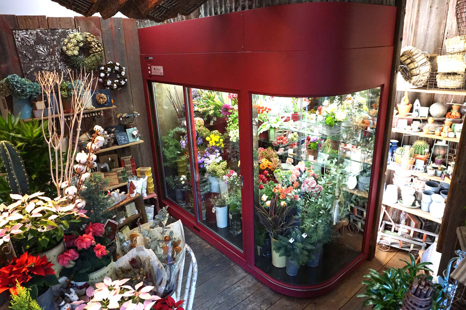 ＜お洒落＞フラワーキーパー VIXDUX belfiore ～花の冷蔵庫～小さなフラワーキーパー庫内棚付き、教室、花屋,フローリスト