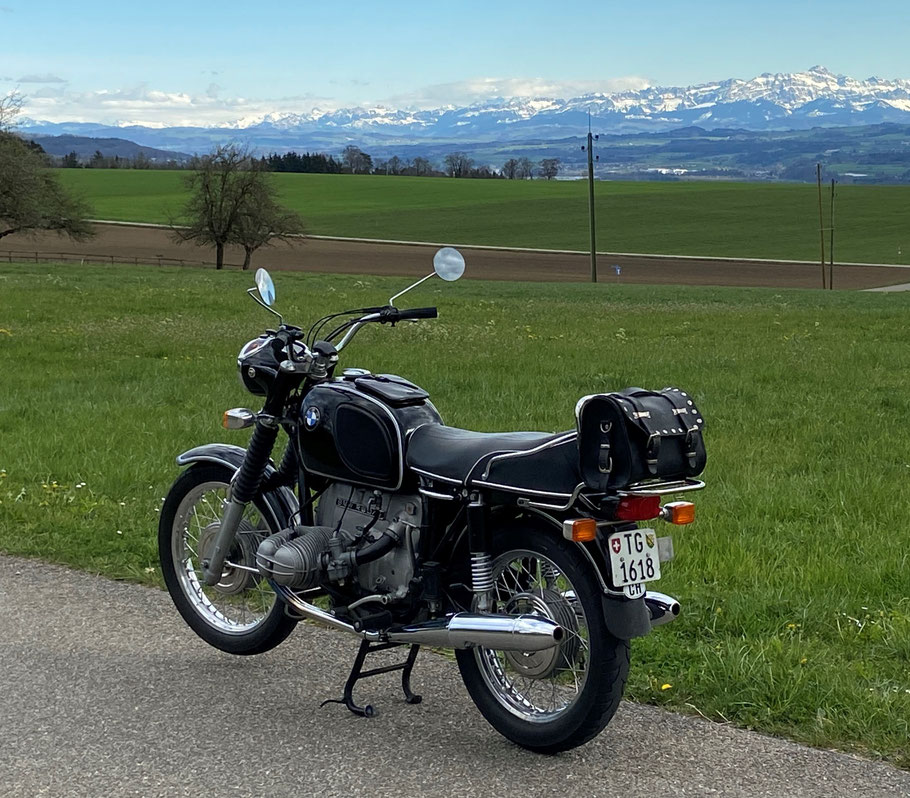 Seerücken April 2021 mit Säntis im Hintergrund