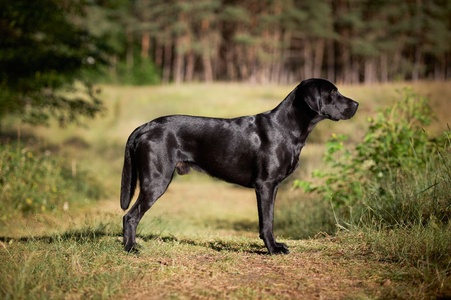 Foto: Matthias Schmalsch