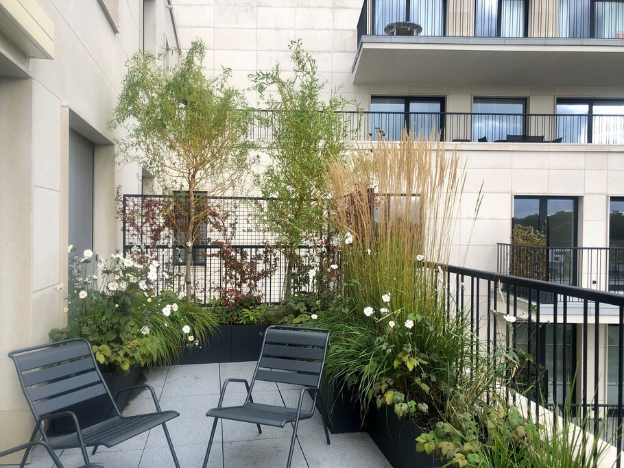 Aménagement d'un balcon avec viv-à-vis - Marguerite Ferry - Urban Garden Designer - Brussels - Ladscapedesign