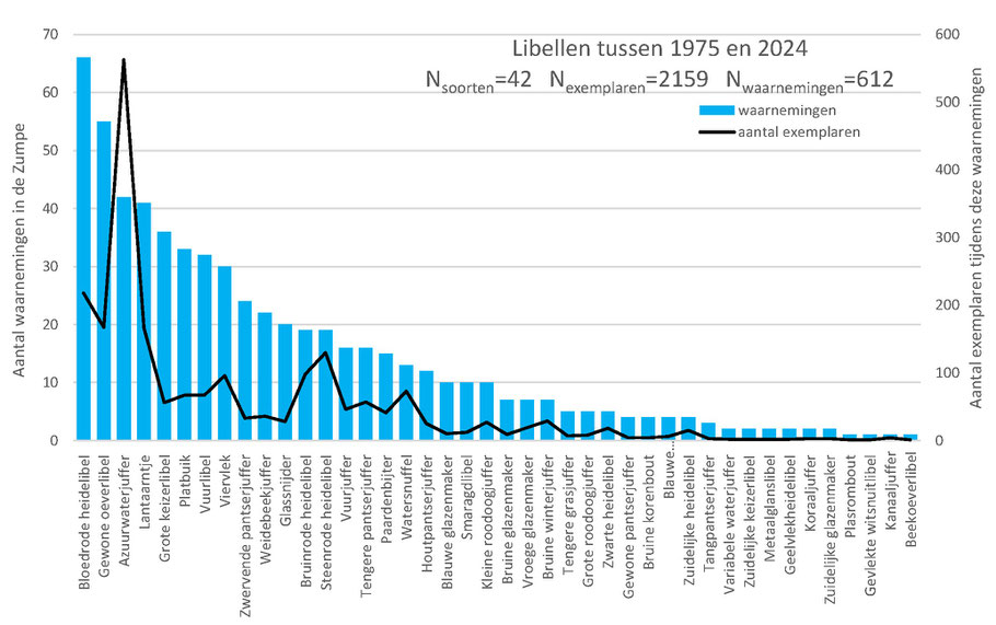 Aantal waarnemingen van de 42 soorten libellen tussen 1975 en 2024 met het aantal waargenomen exemplaren in de waarnemingen.