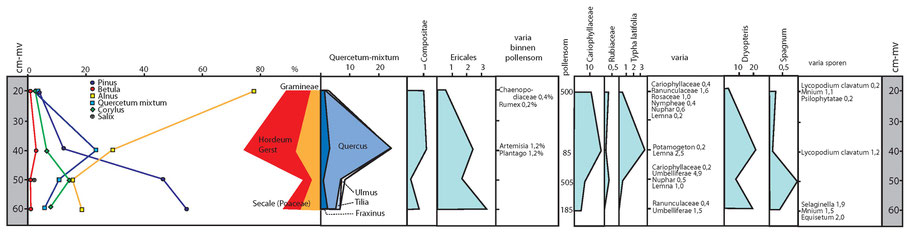 Pollen(stuifmeel)diagram van een veenprofiel (20-60 cm -mv) uit de Zumpe (Eikenmoeras).