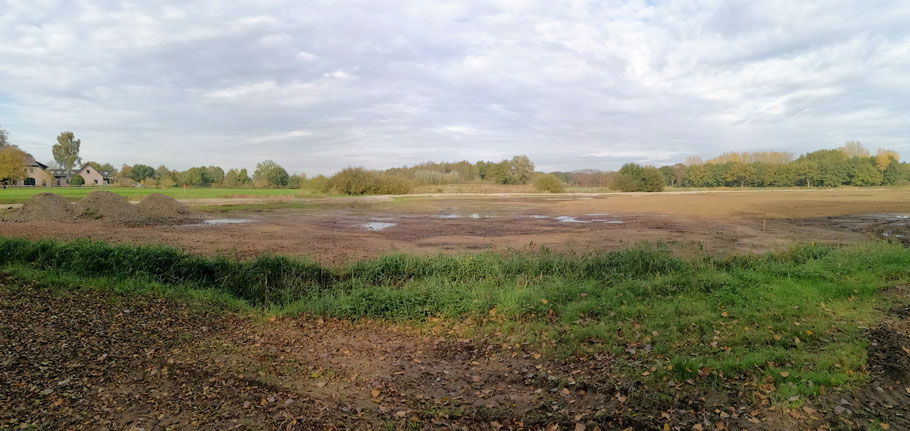 Panorama opname van de Buizerdwei met op de achtergrond het opgehoogde wandelpad (lichte zand).