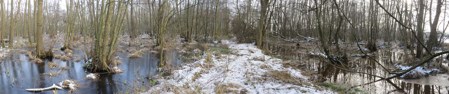 Links het Adderbroek, bedekt met ijs en rechts het ijsvrije Golfbroek in januari 2017.   