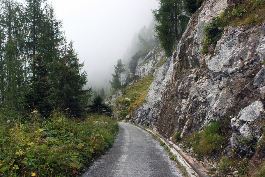 Weg durch den Nationalpark Berchtesgaden (c) Salomé Weber