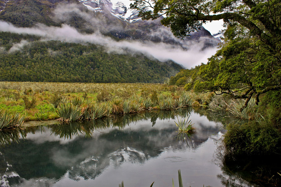 Mirror Lakes, Neuseeland (c) Salomé Weber