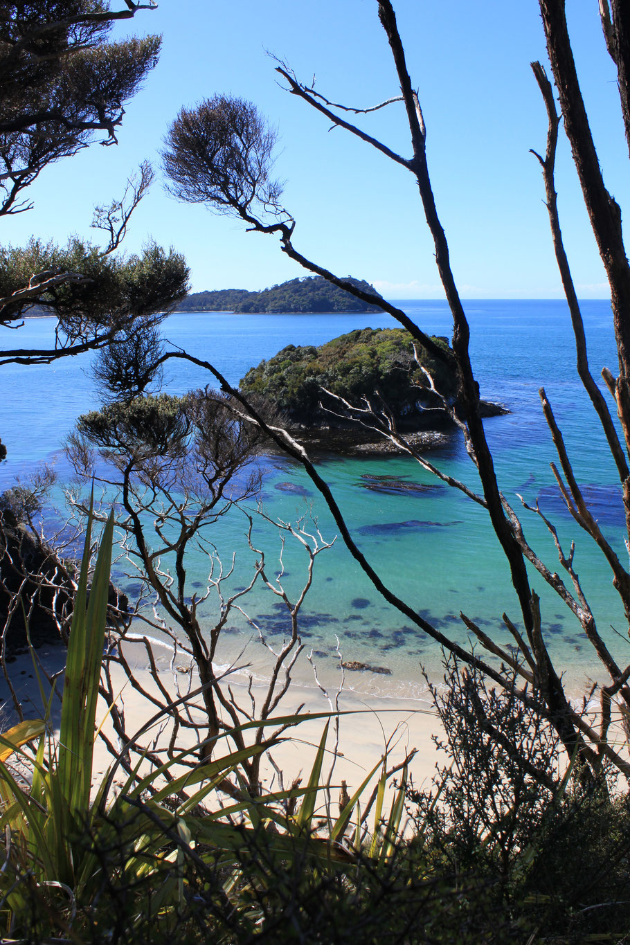 Stewart Island, Neuseeland (c) Salomé Weber