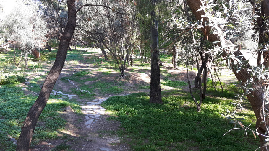 Philosophieren im Gespräch, Wanderung, Peripatetiker, Akademie Platons in Athen