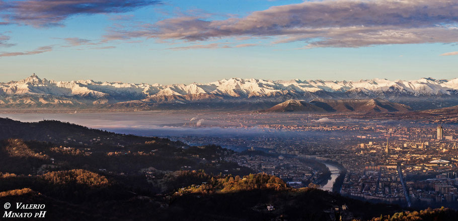 Vendita pannelli forex torino