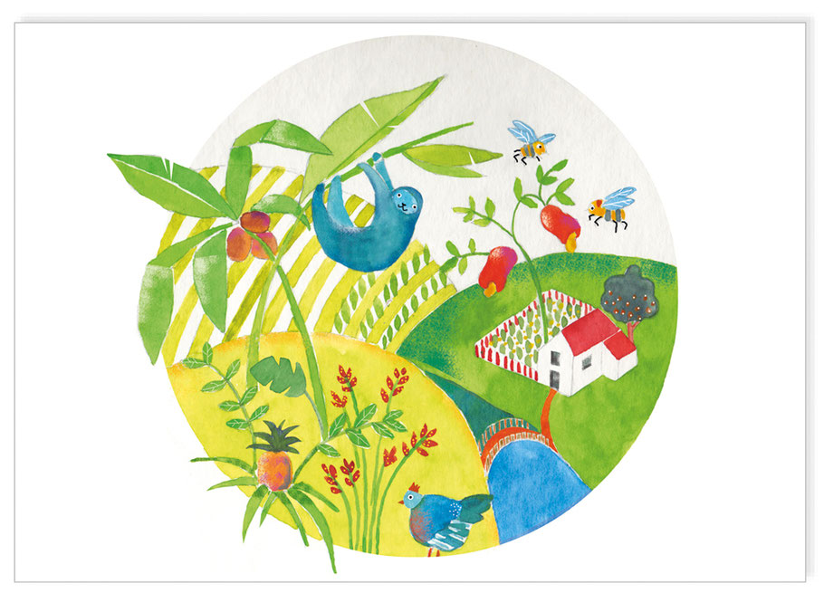 Marlyse Flückiger, Illustration, Nachhaltigkeit, Helvetas Karten